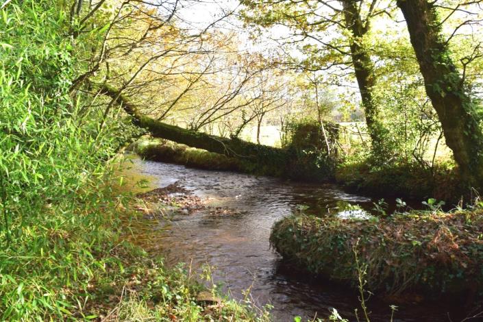 Image No.4-Maison de 3 chambres à vendre à Lignol