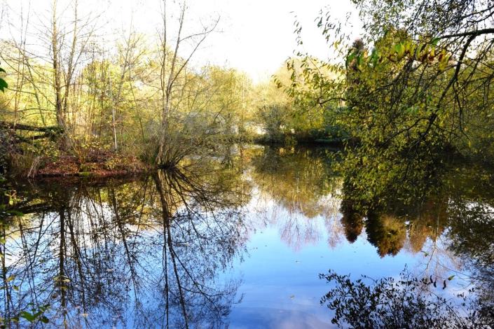 Image No.5-Maison de 3 chambres à vendre à Lignol