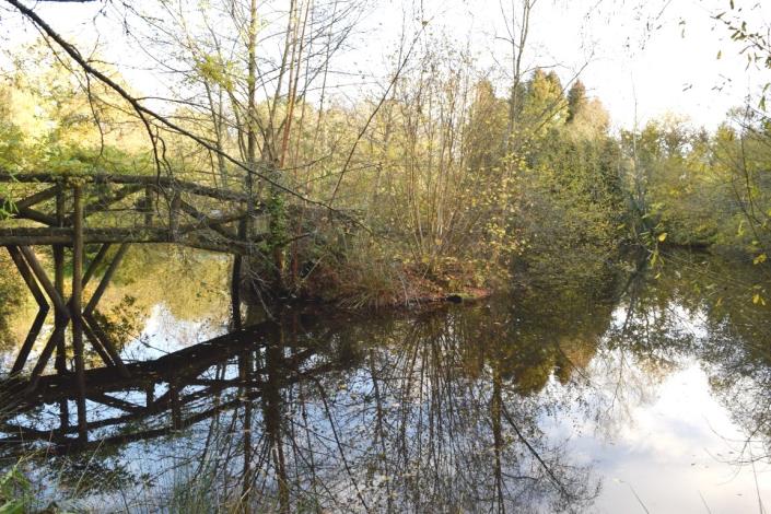 Image No.28-Maison de 3 chambres à vendre à Lignol