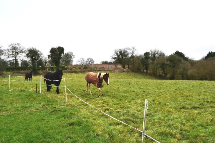 Image No.6-2 Bed House for sale