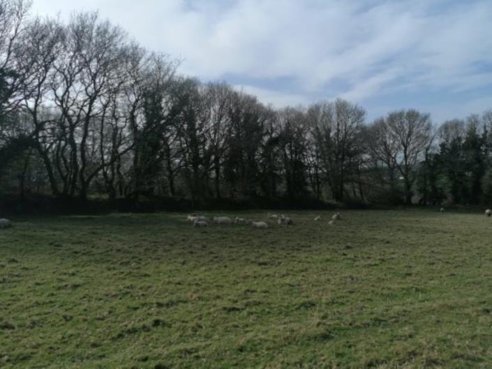 Image No.34-3 Bed House for sale