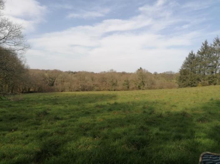 Image No.38-3 Bed House for sale