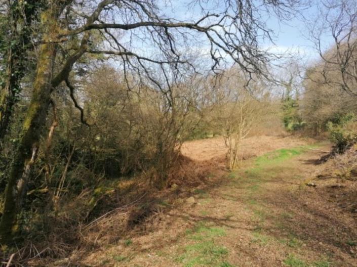 Image No.37-3 Bed House for sale