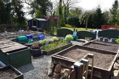DSC_3554-POTAGER