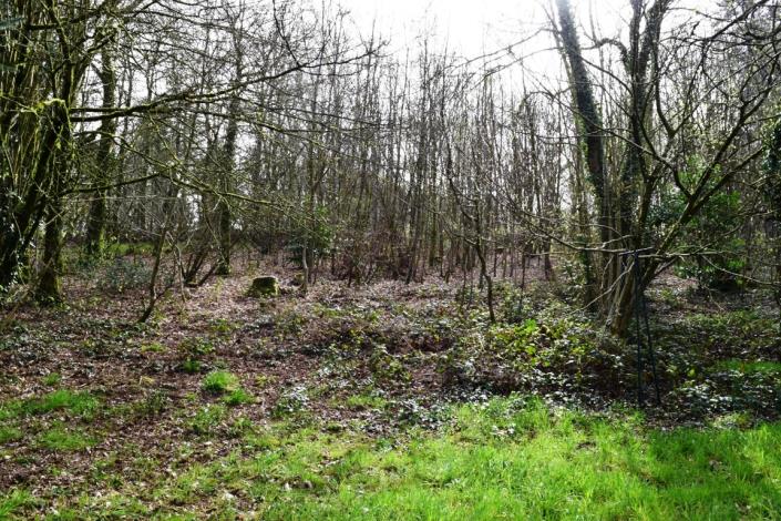 Image No.3-2 Bed House for sale