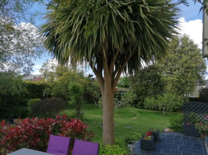 Image No.35-3 Bed House for sale