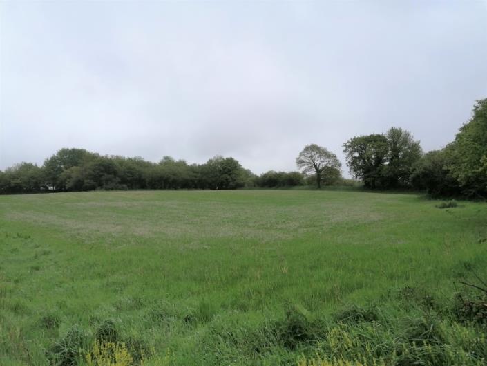 Image No.28-2 Bed House for sale