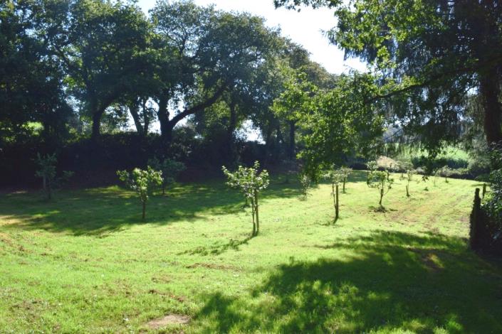 Image No.28-Maison de 4 chambres à vendre à Bulat-Pestivien
