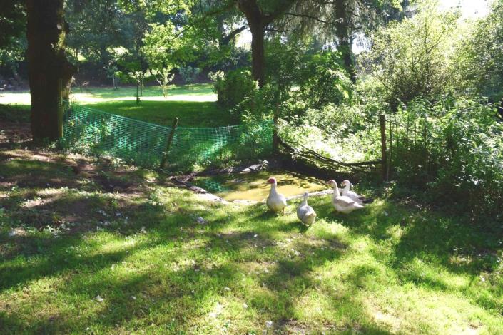 Image No.29-Maison de 4 chambres à vendre à Bulat-Pestivien