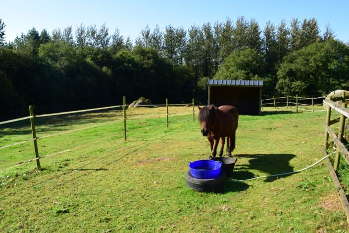 Image No.7-Maison de 4 chambres à vendre à Bulat-Pestivien