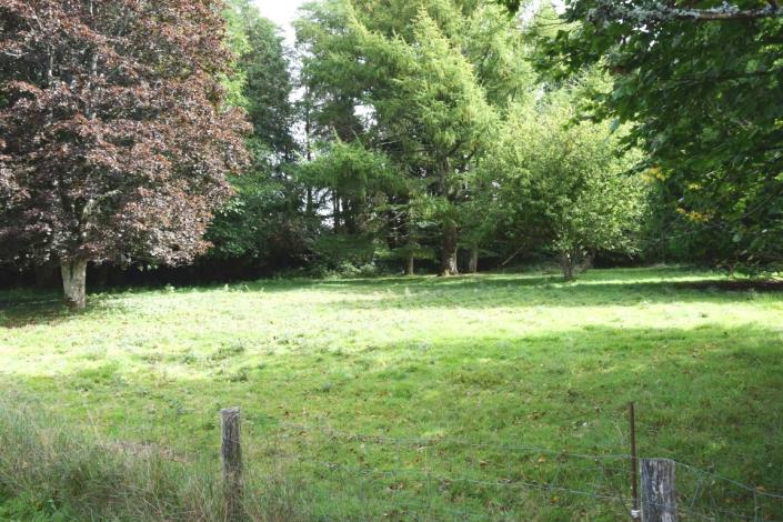 Image No.31-Maison de 5 chambres à vendre à Guiscriff