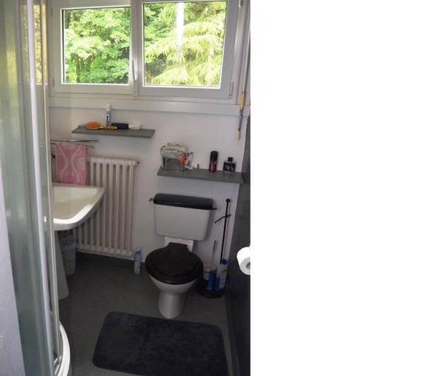 Image No.23-Maison de 10 chambres à vendre à Kernascléden