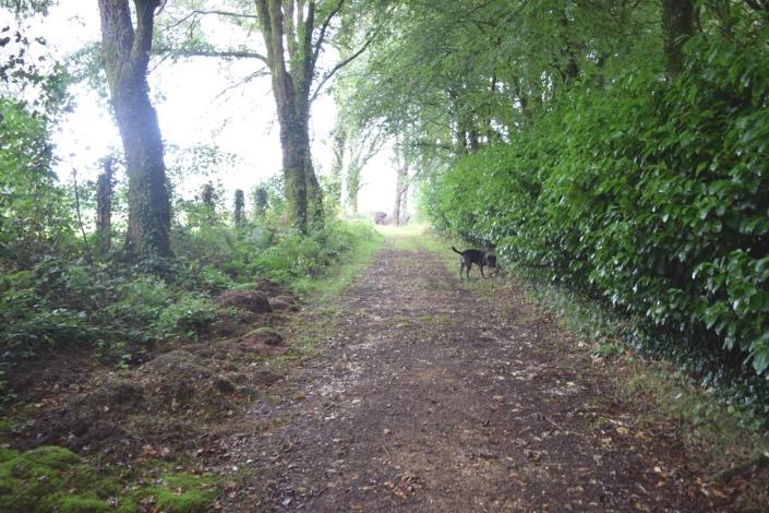 Image No.43-Maison de 10 chambres à vendre à Kernascléden
