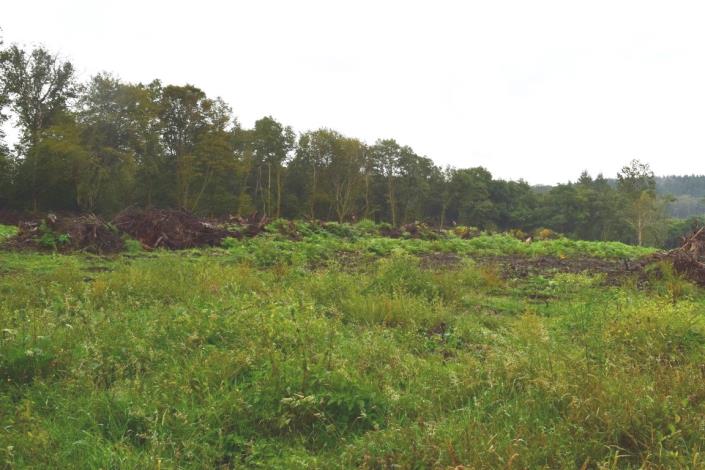 Image No.44-Maison de 10 chambres à vendre à Kernascléden