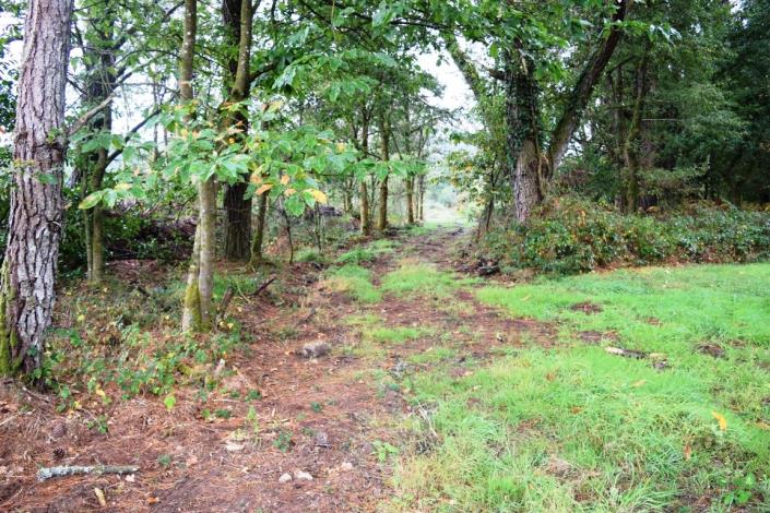 Image No.45-Maison de 10 chambres à vendre à Kernascléden