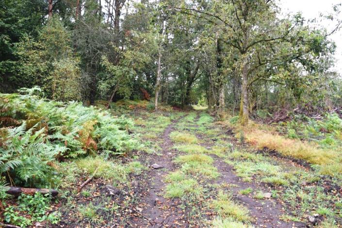 Image No.47-Maison de 10 chambres à vendre à Kernascléden
