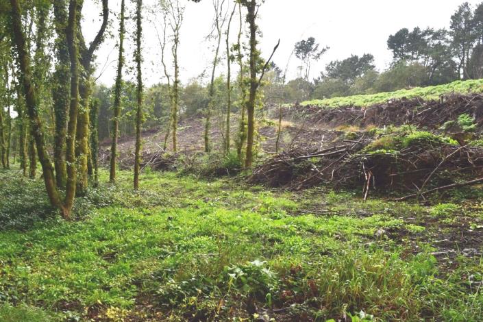 Image No.48-Maison de 10 chambres à vendre à Kernascléden