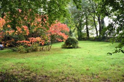 DSC_0299-JARDIN