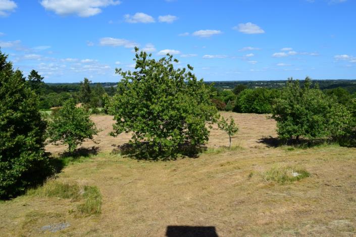 Image No.5-5 Bed House for sale