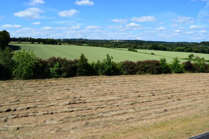 Image No.6-5 Bed House for sale