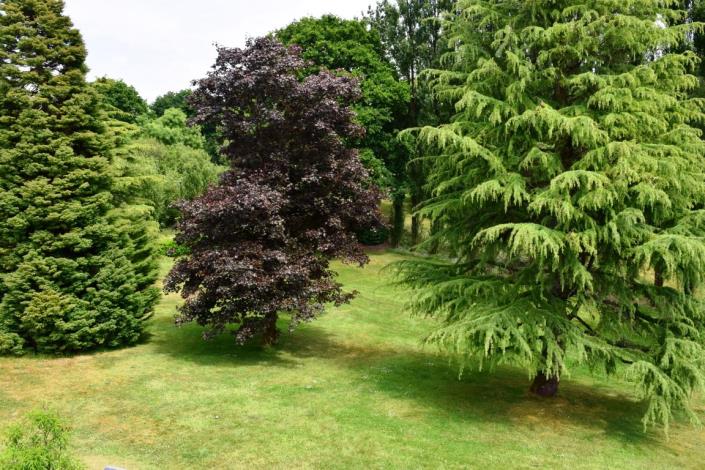 Image No.23-Maison de 8 chambres à vendre à Carnoët