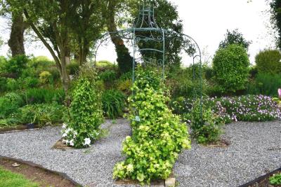 DSC_4546-JARDIN