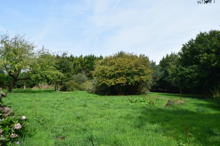 Image No.7-4 Bed House for sale