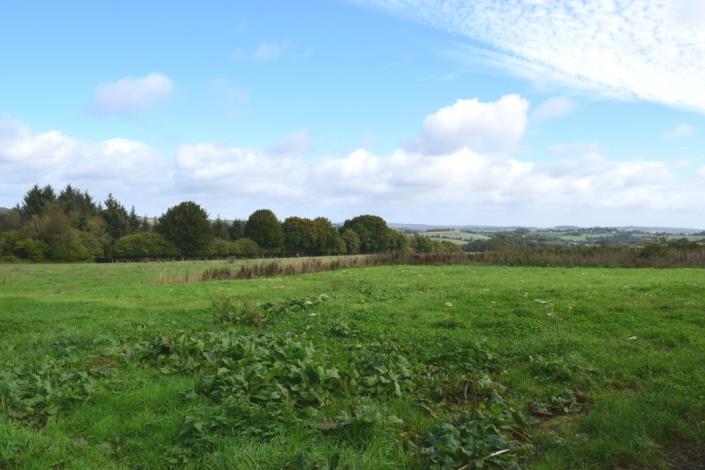 Image No.6-Maison de 4 chambres à vendre à Merleac