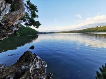 16219-ESTUAIRE-VUE-2