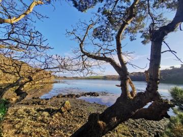16219-ESTUAIRE-VUE-3