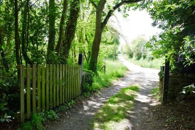 DSC_5523-CHEMIN