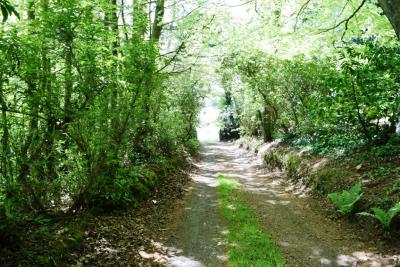 DSC_5525-CHEMIN-PRIVE