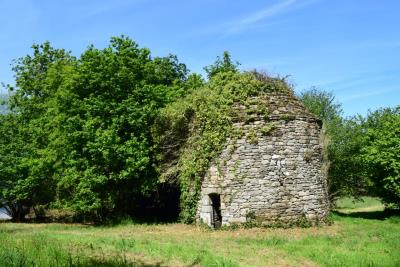 DSC_5536-PIGEONNIER