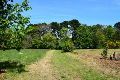 DSC_5539-TERRAIN