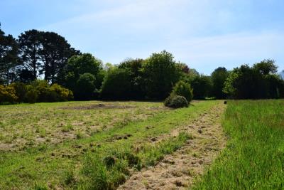 DSC_5540-TERRAIN