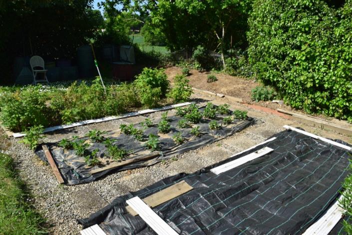 Image No.7-Maison de 3 chambres à vendre à Kergrist