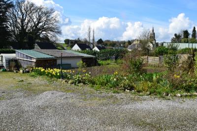 DSC_3182-POTAGER