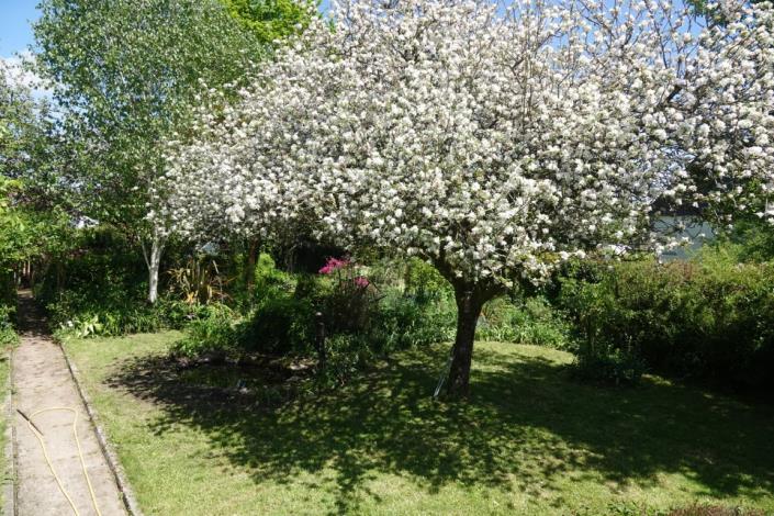 Image No.24-Maison de 4 chambres à vendre à Ploërdut