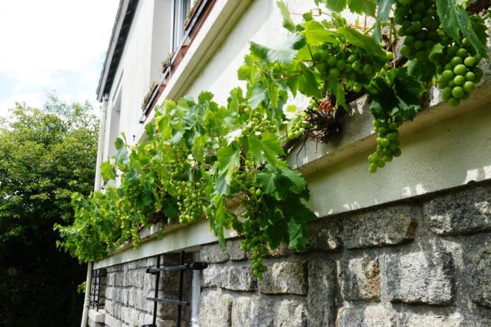 Image No.25-Maison de 4 chambres à vendre à Ploërdut