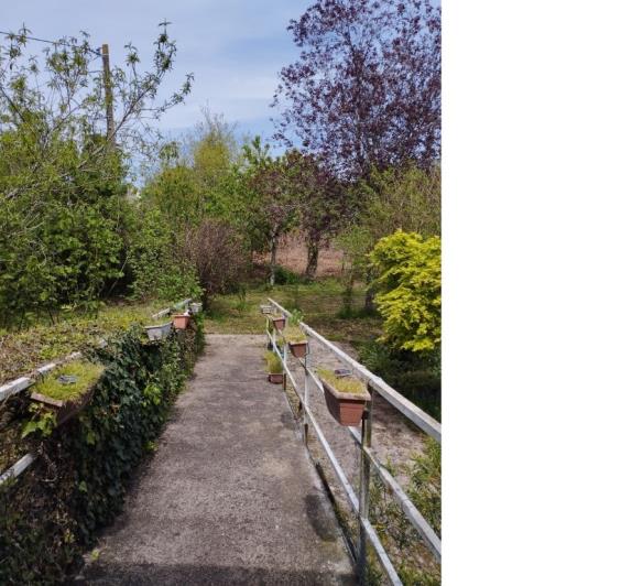 Image No.4-Maison de 3 chambres à vendre à La Chapelle-Neuve