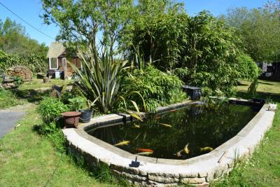 DSC_4153-BASSIN