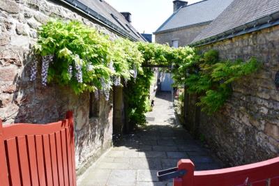 DSC_4643-cour