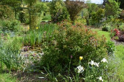 DSC_4366-JARDIN