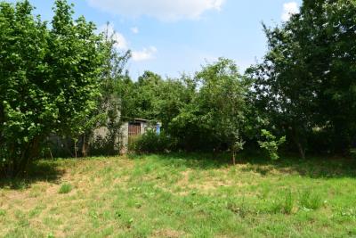16355-POTAGER