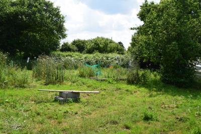 DSC_5314-POTAGER
