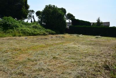 DSC_5214-JARDIN