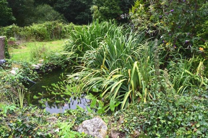 Image No.3-4 Bed House for sale