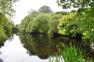 DSC_5801-ETANG-2