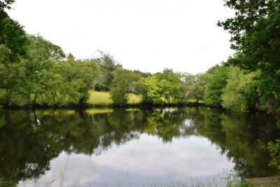 DSC_5805-ETANG-2