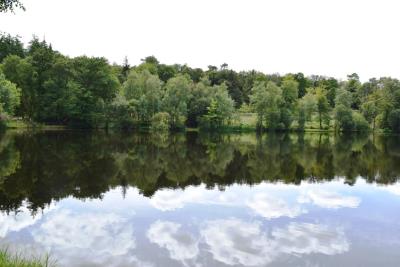DSC_6839-ETANG-1